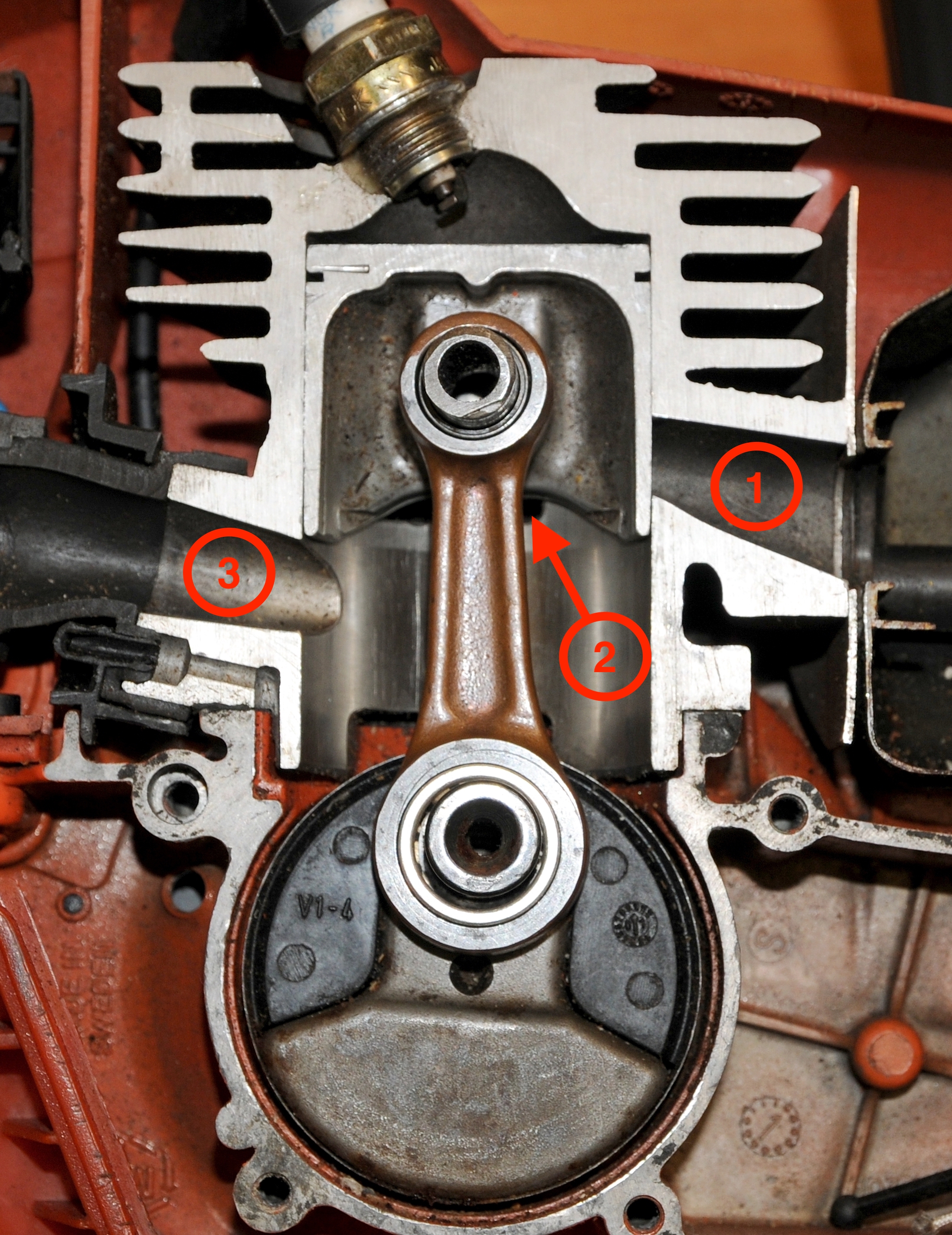 interior of a two-stroke engine showing the exhaust port, transfer port and inlet coming from the carburetor