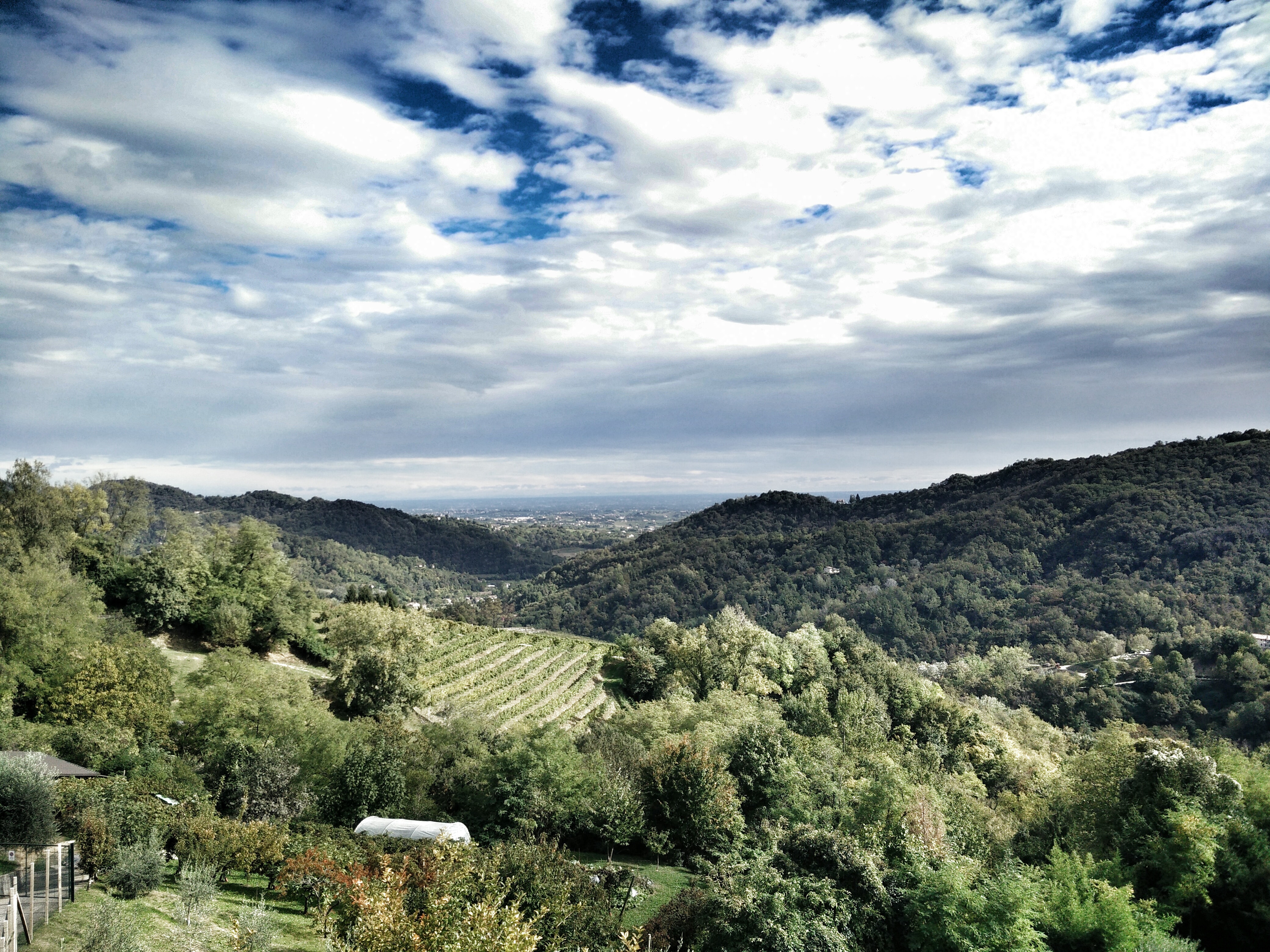 stratocumulus clouds above the mountain