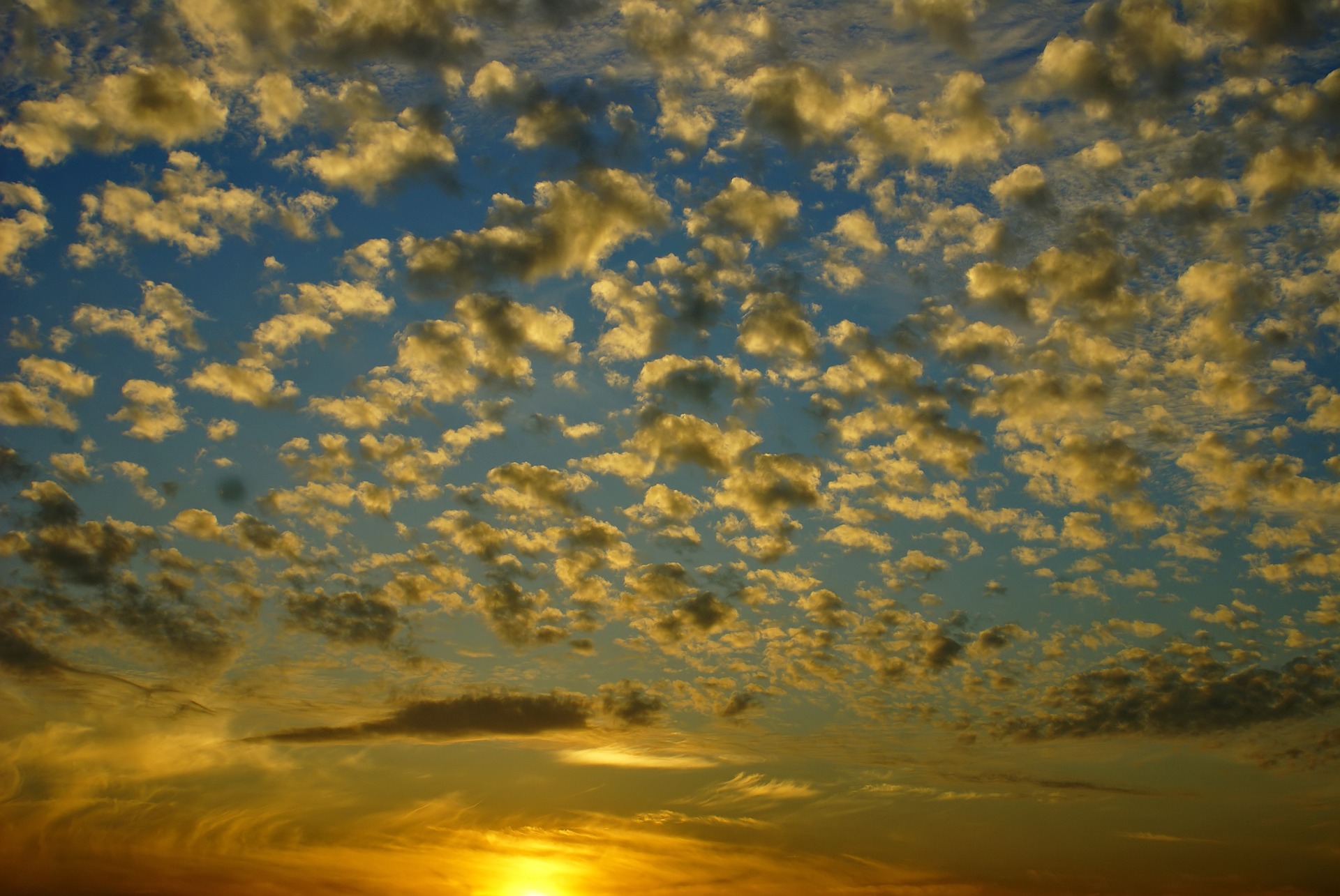 altocumulus clouds in the sunset