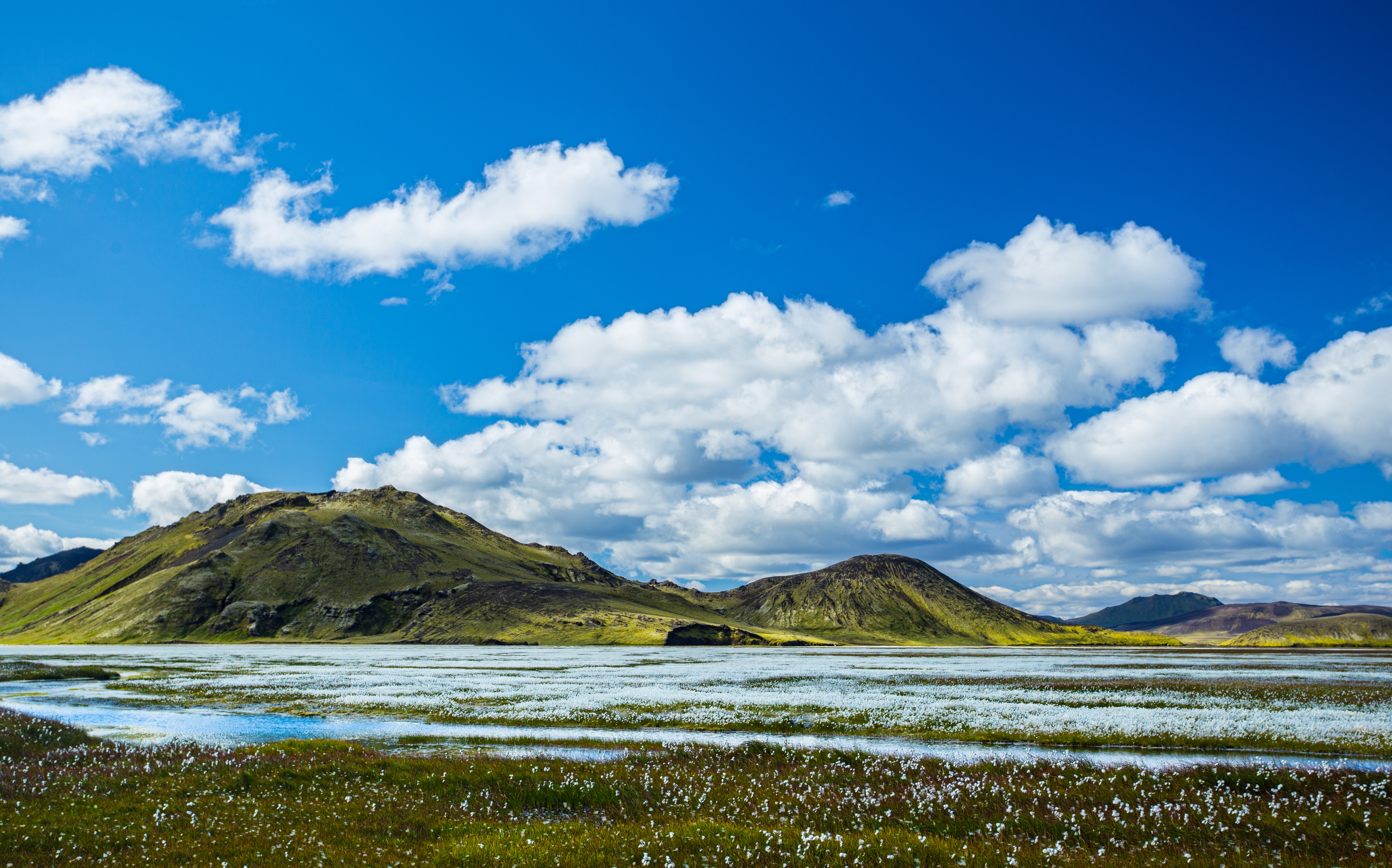 cumulus clouds above flowery plains