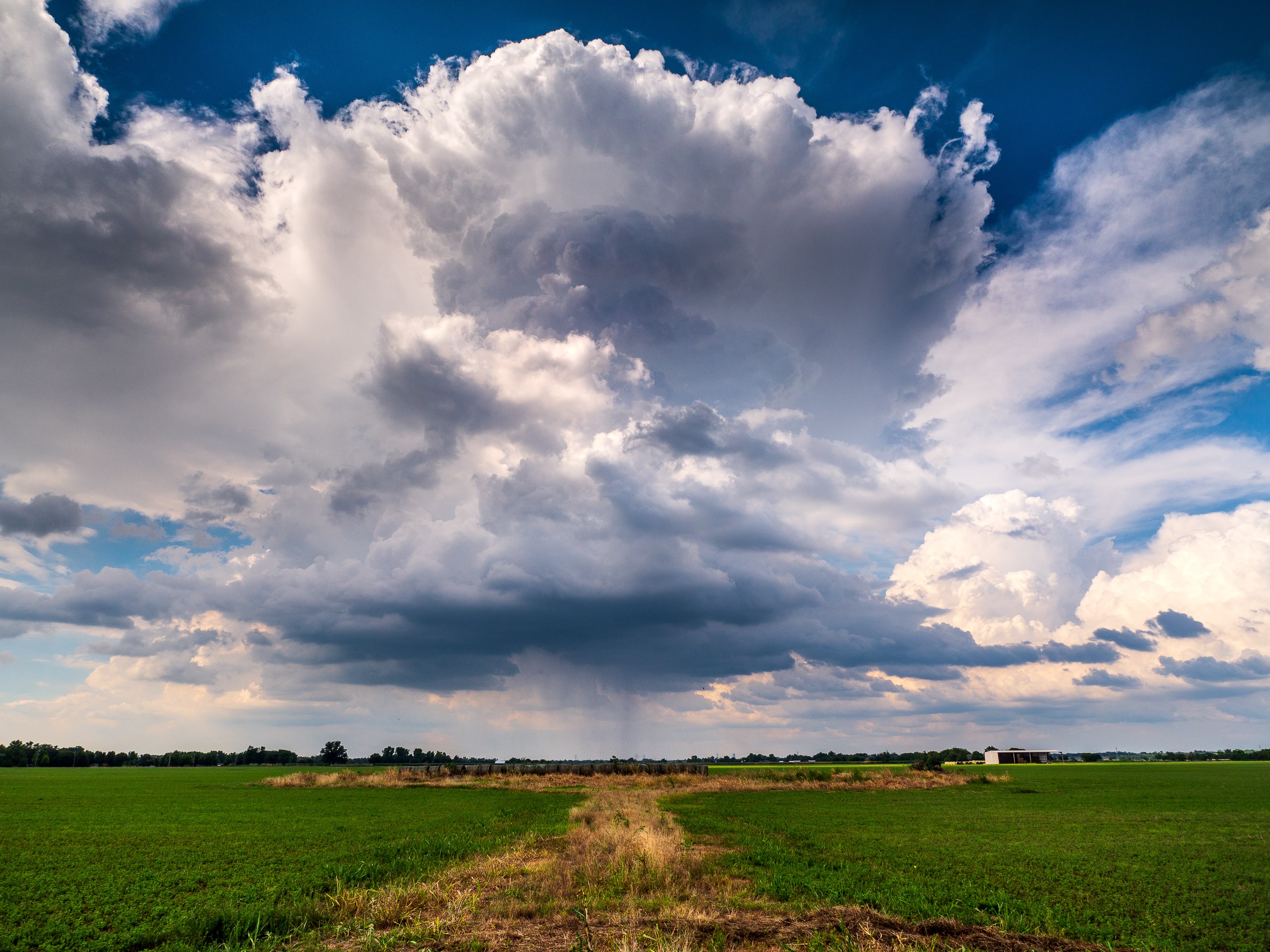 cumulonimbus storm with rain showers over the plain