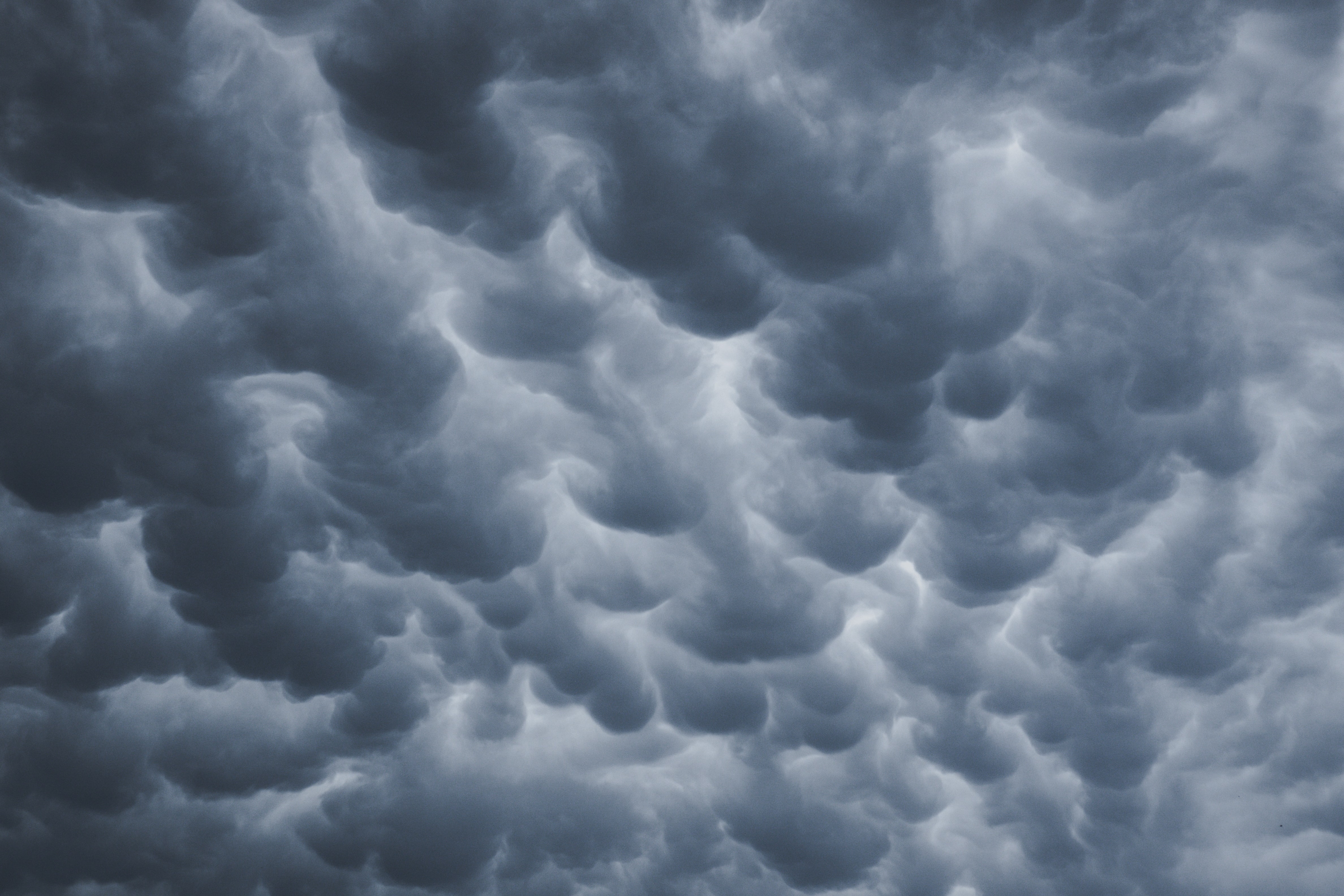 gray mammatus clouds